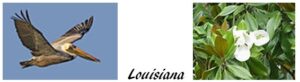 Louisiana Slavery Referendum