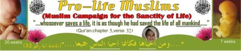 346 Muslim