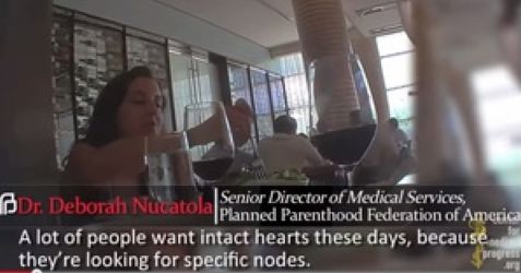 Dr. Deborah Nucitola video